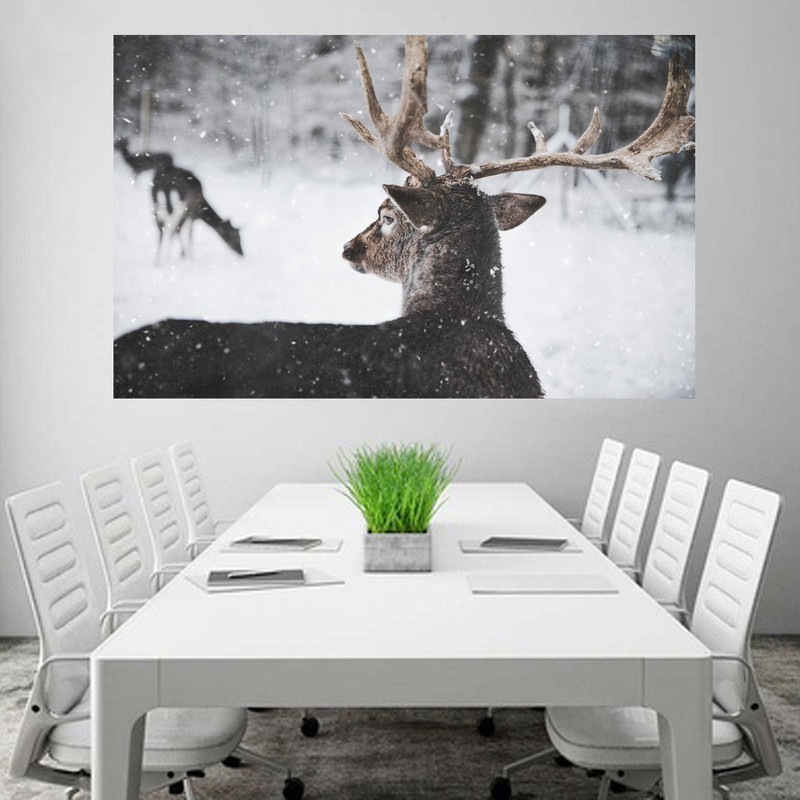 Animal Blur Close Up Wallpaper Poster No Framed Large Painting On Canvas Wall Art Picture for Home Decoration Wall Decor Poster Paper Print(24 inch X 48 inch)