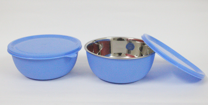 finality Microwave Safe Stainless Steel Plastic Coated Bowl 14 cm each bowl Stainless Steel Storage Bowl(Blue, Pack of 2)