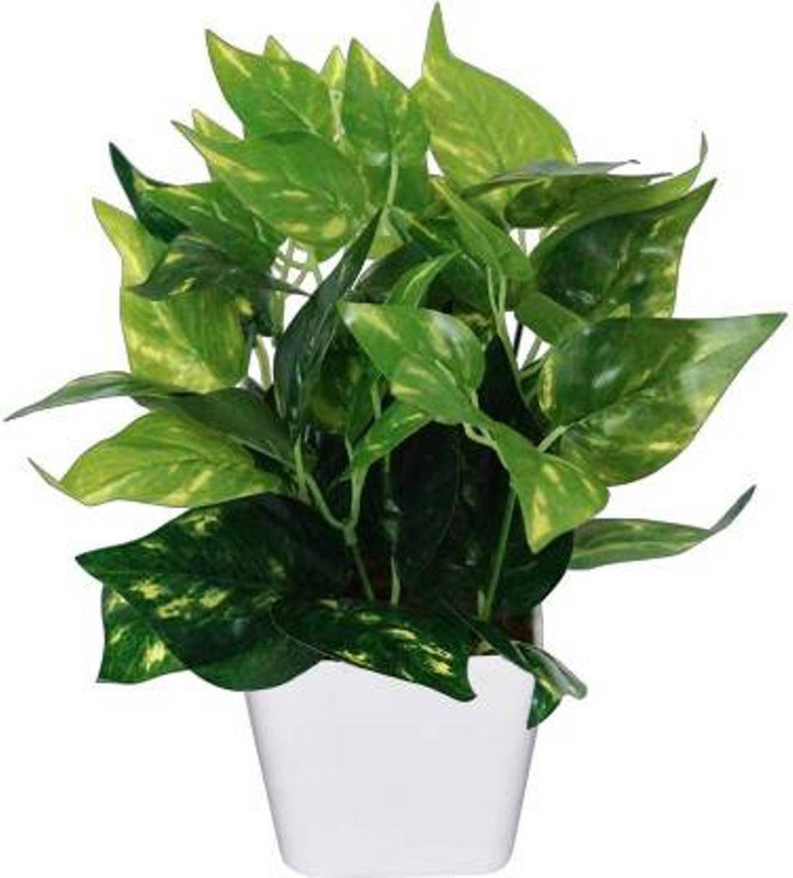 ssplants Artificial Natural Money Plant Leaf Indoor/Outdoor Plant Decorative Plant with Pot (27 cm x 22 cm ) Artificial Plant  with Pot(34 cm, Green)