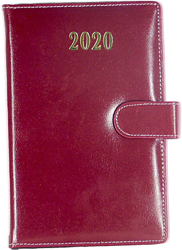 alcraft Regular Planner/Organizer(Year 2020 With Magnetic Lock, Red)