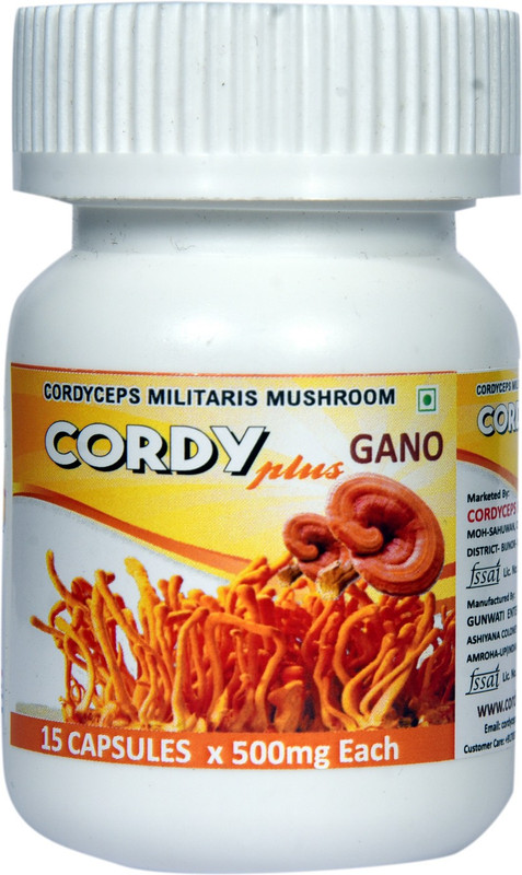 cordyceps india Cordy Plus Gano(500 mg)