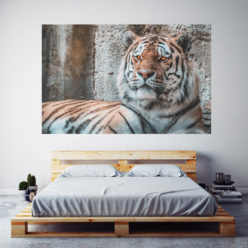 Beautiful Tiger Picture Wall Art Canvas Painting Abstract Landscape Pictures Paper Print(24 inch X 48 inch)