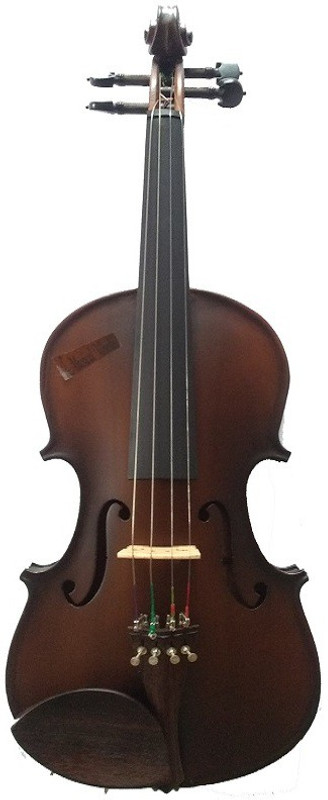 musical works 4/4 Semi- Acoustic Violin(LIGHT BLACK MATT Yes)