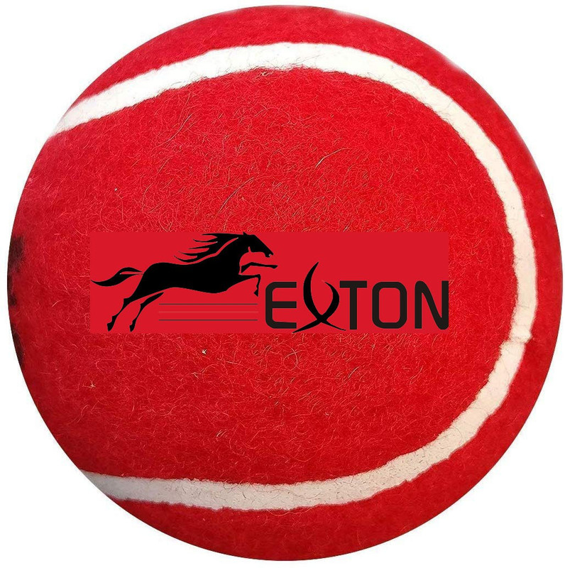 exton CH 900 Tennis Ball(Standard, Pack of 12, Red)