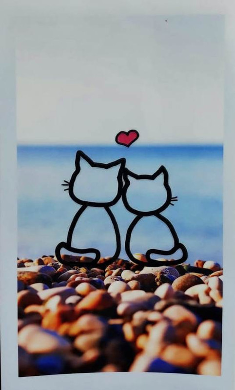 p4u Love Sticker for All Mobile phone Mobile Skin 3D Skin Sticker Mobile Phone Mobile Skin(Multicolor)