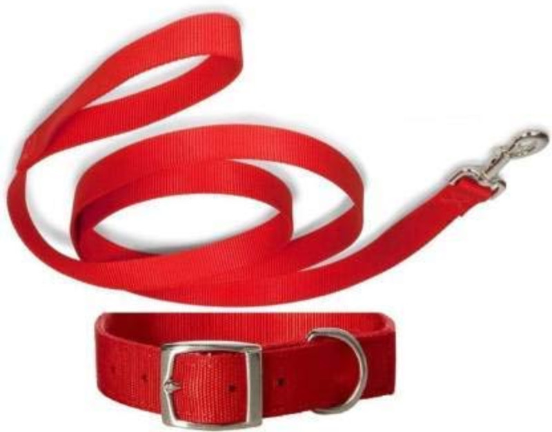 BODY BUILDING Good Quality Nylon Red Dog Belt/Collar Belt for All Breed of Dogs. Dog Collar & Leash(Medium, Multi-color)