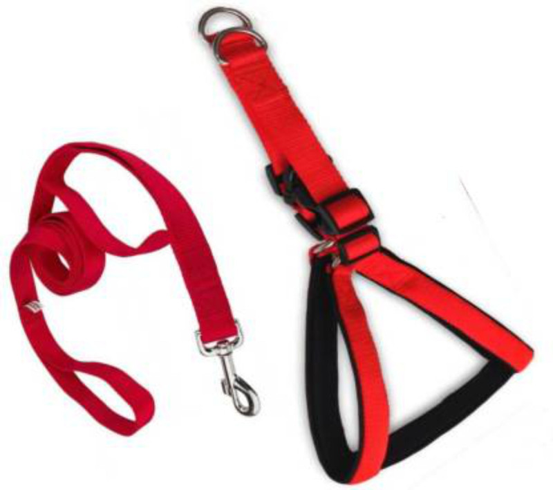 BODY BUILDING Good Quality 1/2 inch Red Black Puppy Harness Belt 1.5m lengthy Dog Harness & Leash(Medium, Multicolor)