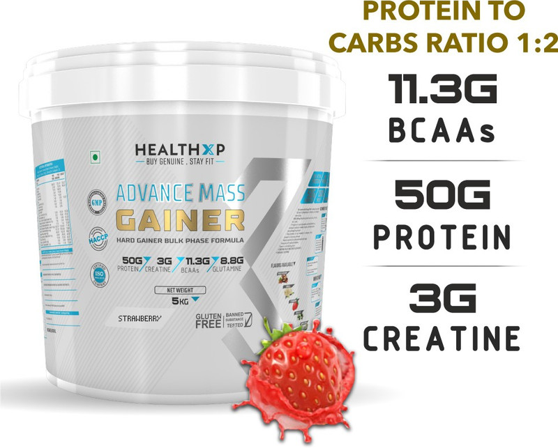 Healthxp Essential Series 100 Whey Protein 5 Kg Chocolate Noveltycart