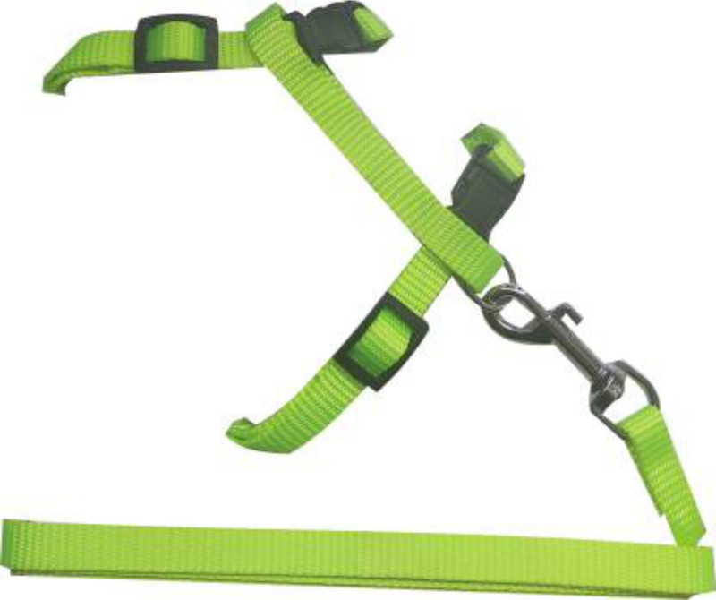 PEDIGONE Pet Nylon Strap Collar with Adjustable Walking Cat Harness & Leash(Medium, green)