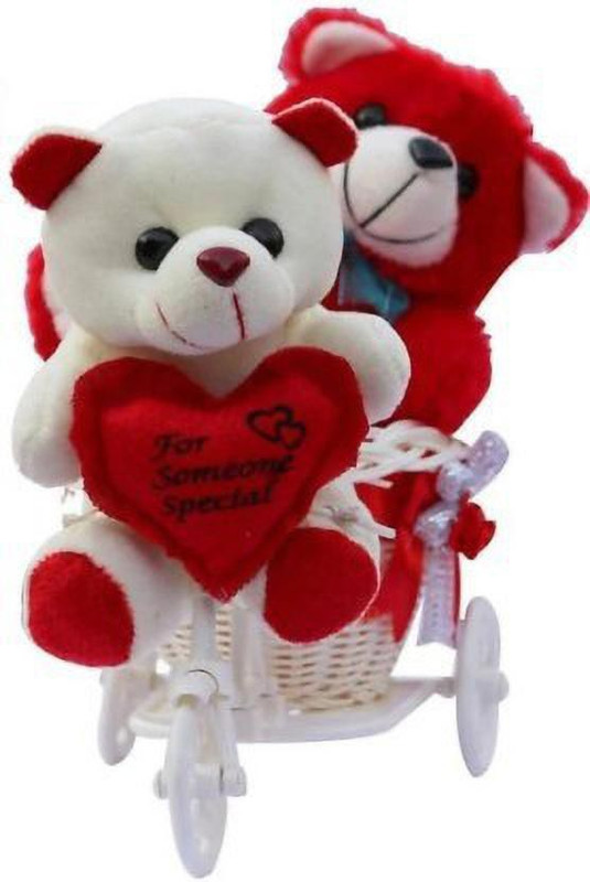 THE MODERN TREND Teddy bear couple with cycle Kids/Girlfriend/boyfriend/birthday/valentines 25 cm  - 25 cm(Multicolor)
