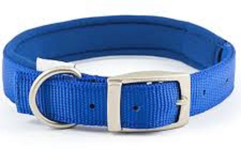 chullbull pet products Plain Dog Collar Charm(Blue, Round)