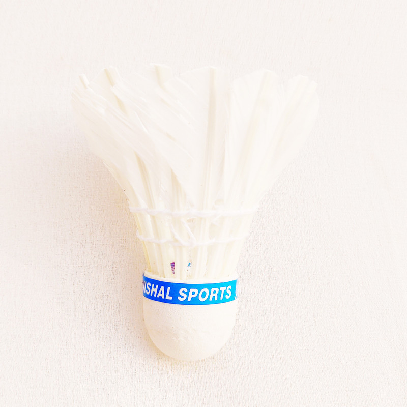 radion top10 white feather shuttle cocks Feather Shuttle  - White(Medium Fast, 78, Pack of 10)