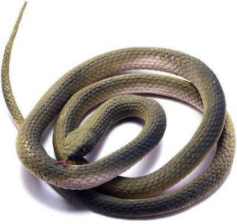 DTD Creation Fake For Prank(Colour as per availibility) Snake Gag Toy(Multicolor)