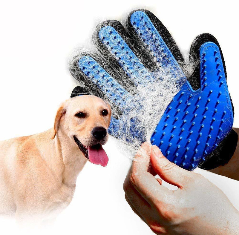 Rhydin Puppies Grooming & Deshedding Brush Hair Massager Groomer Glove for Dogs & Cats Grooming Gloves for Dog, Cat(Blue, Fits All)