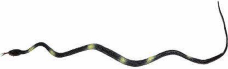 ExaltedCollection Rubber Gag / Prank Toy for Kids Snake Gag Toy Gag Toys Rubber Snake Gag Toy