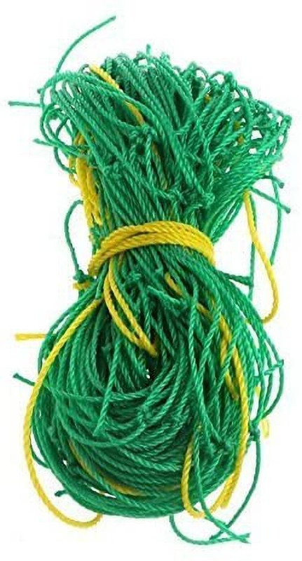 world net enterprise Creeper Support Net for Agriculture and Gardening Netting 6Feet X 6Feet Hiking Net(Green)