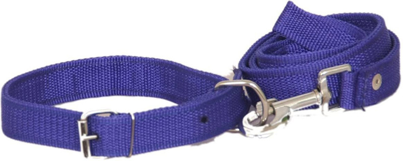 SNOOPY Alphabet Engraved Dog Collar Charm(Blue, Rectangle)