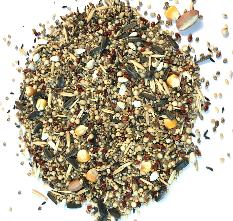 Nitishree Premium Special Bird Food for Budgies - Mix Seeds 500 Gm 0.5 kg Dry New Born, Adult, Young, Senior Bird Food
