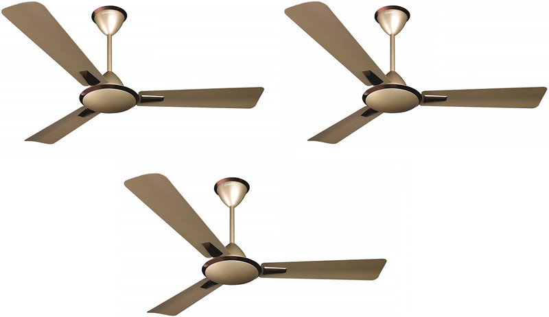 aura-prime-antidust-pack-of-3-70-ceiling-fan-1200-crompton-original-imafqg85cjcnshvk.jpeg