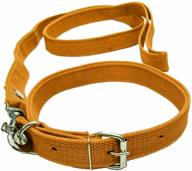 Improvhome Dog Collar & Leash(Medium, Yellow)