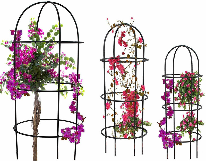 GREEN TOUCH Plant Support,Plant Supporter,Plant Stick,Plant Climber,Plant Stand,Plant pot Plant Container Set(Pack of 3, Metal)