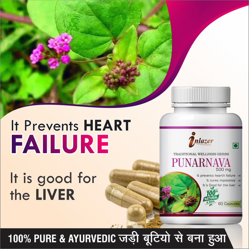 60-punarnava-herbal-capsules-for-improves-vision-100-pure-original-imafsnjpsv72g3hz.jpeg