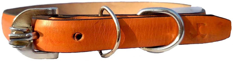 Petox Zone Extra Large152 Embellished Dog Collar Charm(Brown, Solid)
