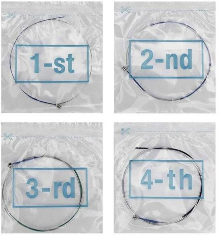 Blue Panther Violin Strings(4/4)