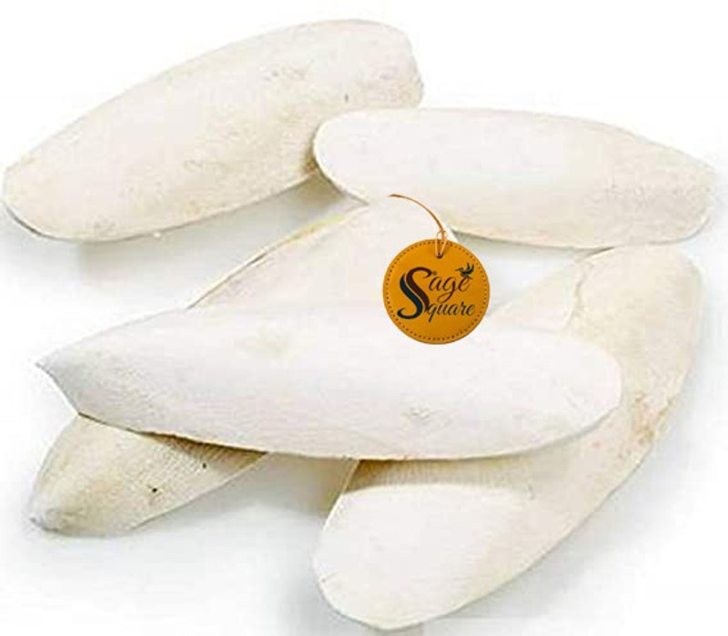 Sage Square Natural High Calcium Source Cuttlebone Fish for Birds, Parrot (250grm) Fish Dog Chew(250 g, Pack of 1)