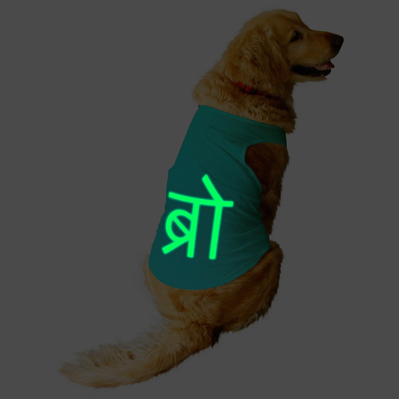 RUSE Tank for Dog(Aqua Green)