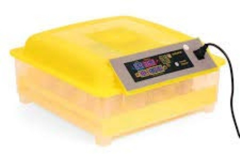 TM&W ASD_20 Egg Incubator