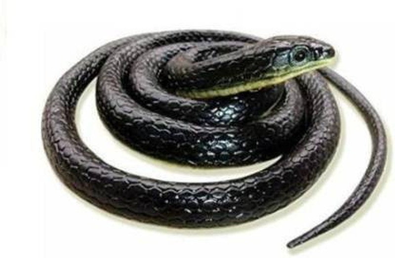SDA Collection 0231 Fake Snakes Prank Toy Gag Toy