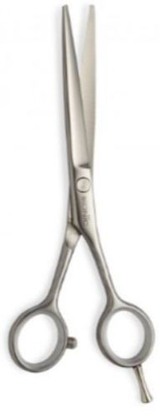 Ikonic Professional SCISSOR - A60 Scissors(Set of 1, Silver)