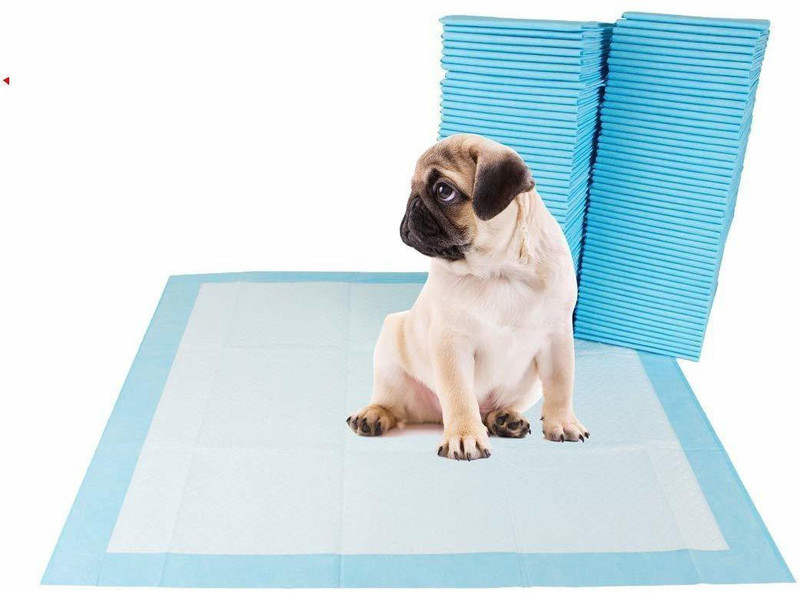 Taiyo Pluss Discovery Dog Training Pads/Training Potty Pads with Quick Drying Surface Absorbent Disposable Dog Diapers(Pack of 40 XL)