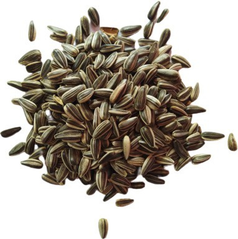 bird food hub BIRDS SEED_SUNFLOWER SEED_PACKAGE OF 1 Kg 1 kg Dry Adult Bird Food
