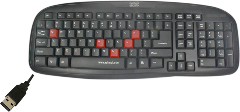 Quantum QHM7408 USB Wired USB Laptop Keyboard(Black)