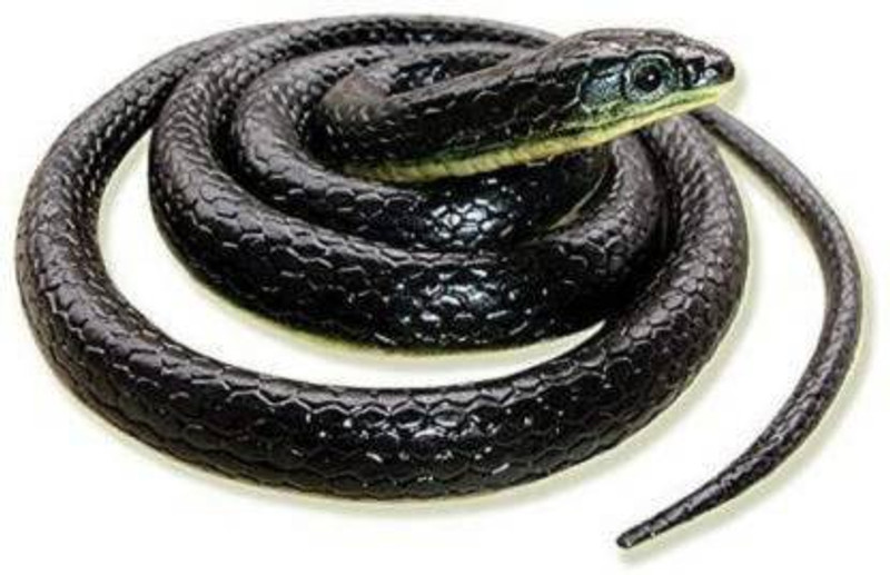 KRISHN COLLECTION Rubber Snakes Toy (Multicolor) Cartoon & Anime Figures Gag Toy(Multicolor)