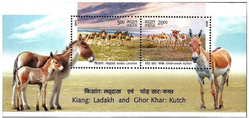 Phila Hub 2013-Wild Ass-MINIATURE SHEET MNH Condition Stamps(2 Stamps)