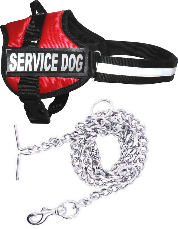 PEDIGONE Dog Belt Combo of Red Service Dog Harness Belt Chest Body Belt Padded Adjustable 70 - 100 cm with 850g Heavy Dog Chain Dog Harness & Chain(Extra Large, 70-100 cm Red Service Dog Harness & Chain)