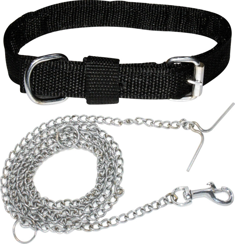 PEDIGONE Dog Collar & Chain(Small, 3/4 inch Black Dog Collar & Chain)