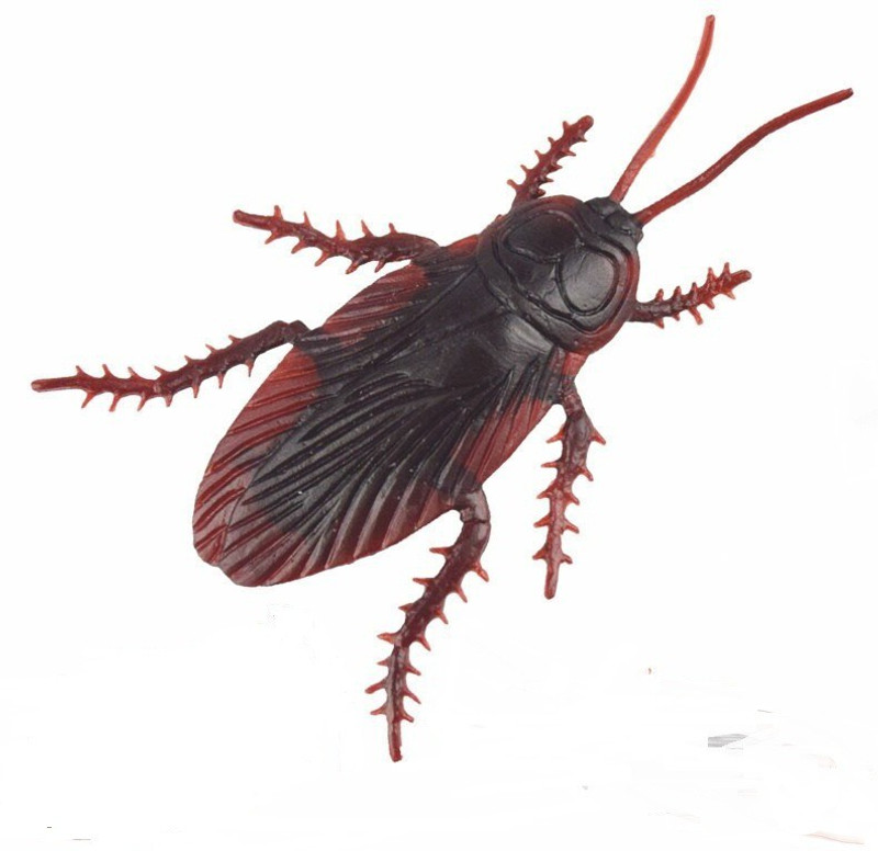 R.s.Magic Tricks Joke Cockroaches Realistic Rubber Novelty Prank Life Like Plastic Toy (Brown) Cockroach Gag Toy(Brown)