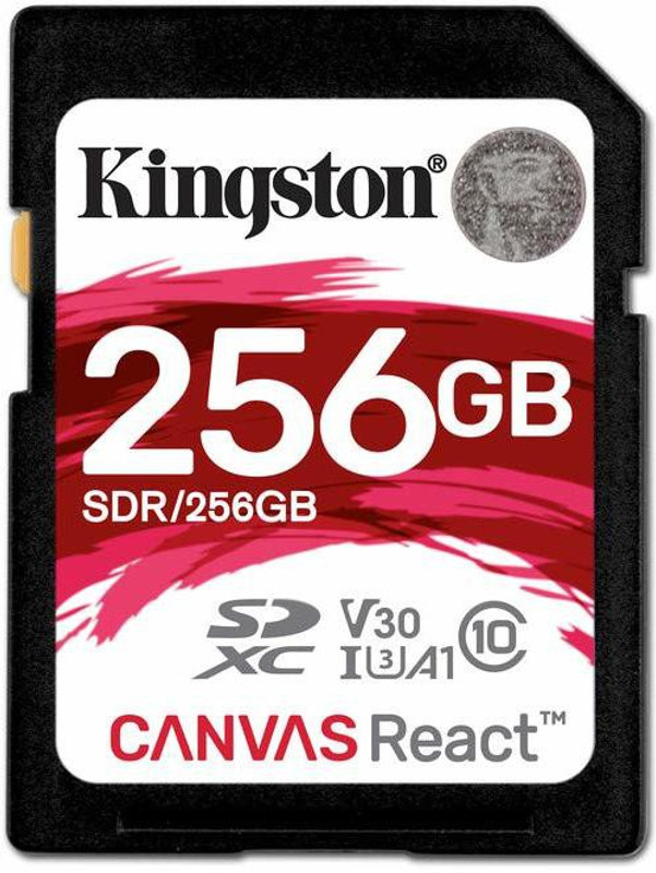 kingston-sdr-256gbin-original-imafwe8ubgf9n3bw.jpeg