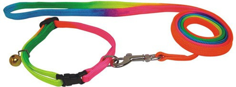 The IndianBulls Dog & Cat Collar & Leash(Small, multi-colour single)