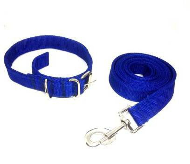 Petshop7 NylonNug CL Dog & Cat Collar & Leash(Small, Blue)