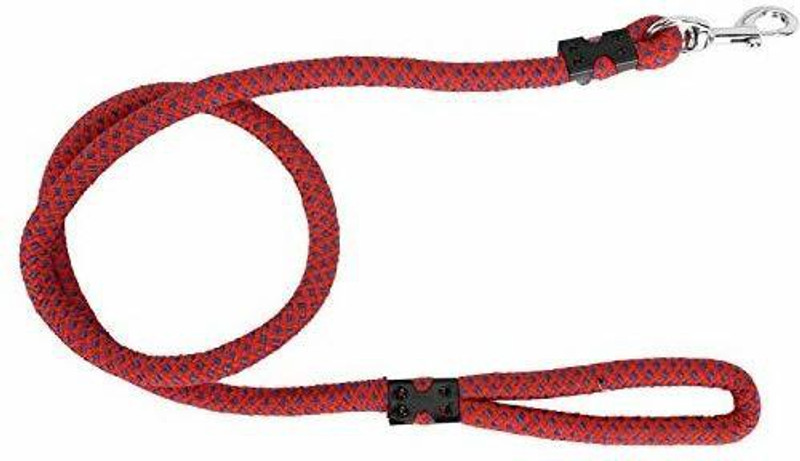 Quickato 12mm Round Designer Dog Belt/Collar Belt for All Breed Dogs Dog Collar & Leash Dog Leash(Large, Multicolor)