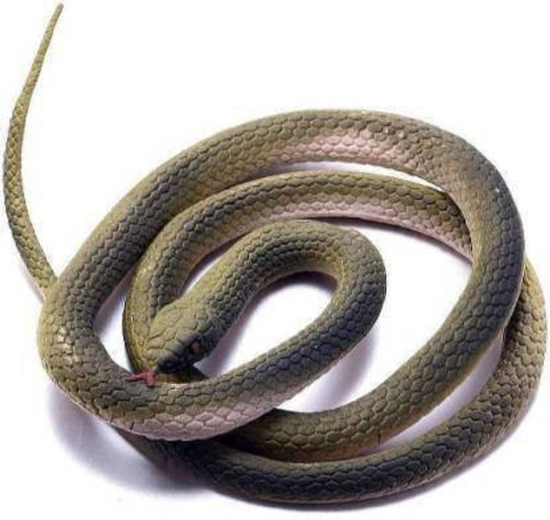 ExaltedCollection Realistic Fake Snake Snake Gag Toy (Green) snake Gag Toy