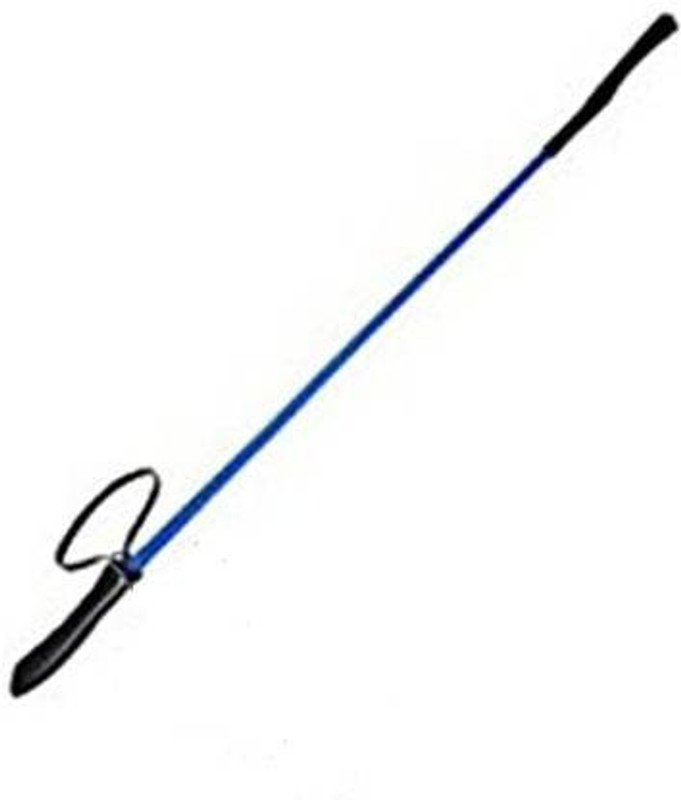 DogTrust Nylon Stick For Dog Nylon Stick For Dog