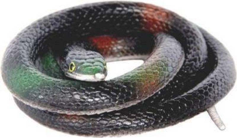KRISHN COLLECTION Rubber Snake Gag / Prank Toy for Kids (Multicolor) Cartoon & Anime Figures Gag Toy(Black)
