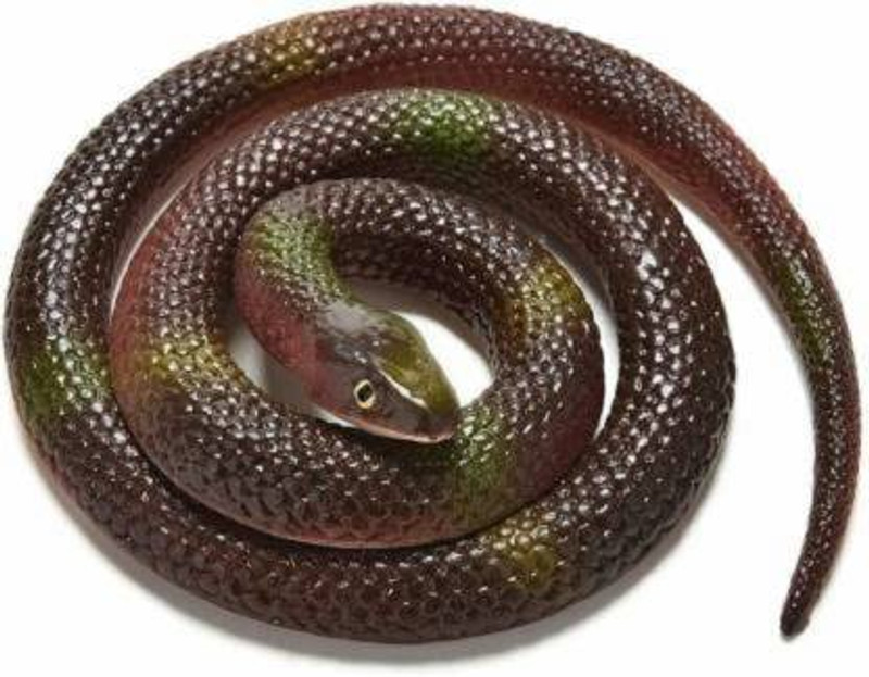 KRISHN COLLECTION Collection snake00117 Insects, Reptiles & Amphibians Gag Toy(Brown)