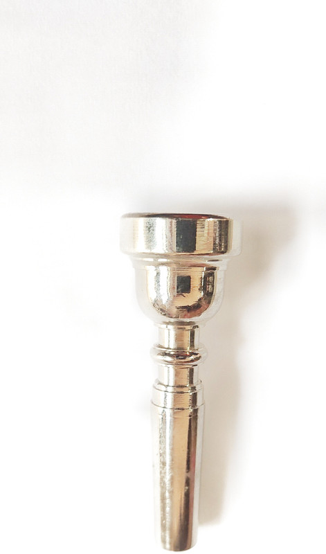 raghav associates Mouthpiece Set(professional)
